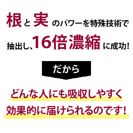 【値段そのまま90粒増量】高麗人参(30粒)×18 6/2まで！ image number 6